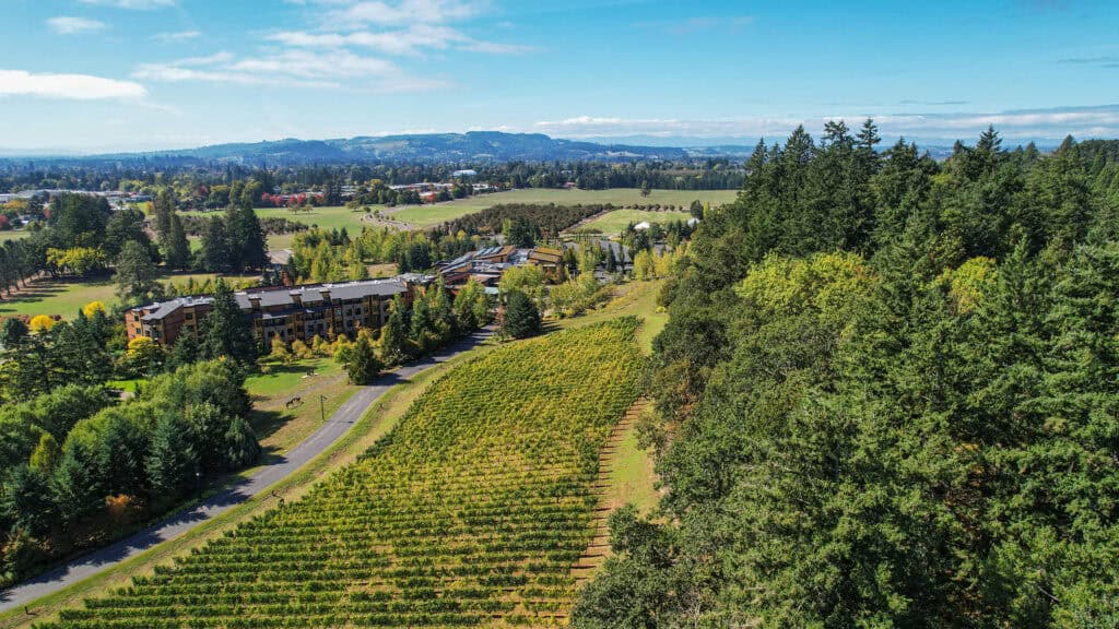 Aerial Photography (Drone) - The Allison Inn and Spa